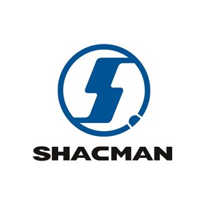 Shacman DZ14251230013 крыло shacman shaanxi переднее левое OE