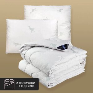 Набор 1 одеяло + 2 подушки Пушэ, 60% сибирский гусиный пух, 40% перо в хлопковом тике (140х200, 50х70-2 шт)