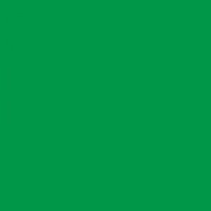 Термотрансферная пленка для плоттерной резки Hotmark 425 Light Green