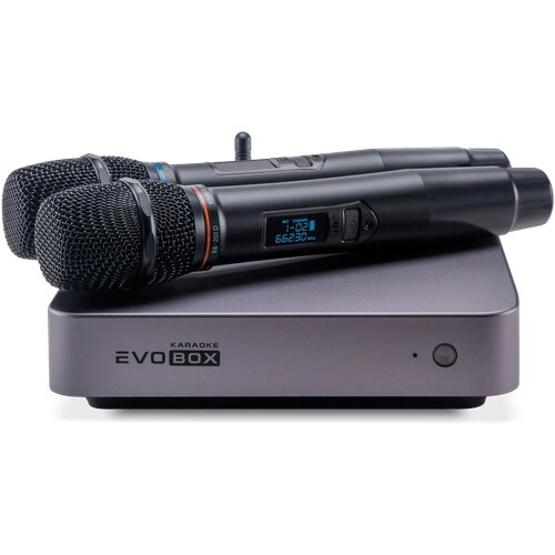 Караоке система для дома Studio Evolution EVOBOX Plus Graphite (Микрофоны в комплекте!