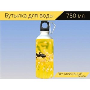 Бутылка фляга для воды "Муравей, желтый, цветок" 750 мл. с карабином и принтом