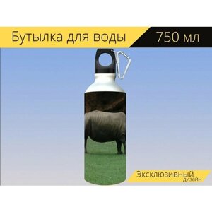 Бутылка фляга для воды "Носорог, африка, хорн" 750 мл. с карабином и принтом