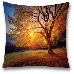 Наволочка декоративная на молнии, чехол на подушку JoyArty "Дерево в солнечных лучах" 45х45 см