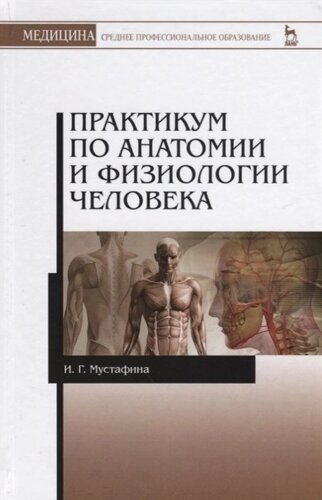 Практикум по анатомии и физиологии человека