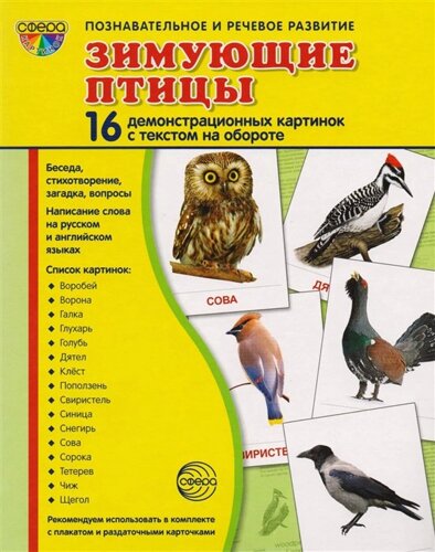 Зимующие птицы. 16 демонстративных карточек с текстом на обороте