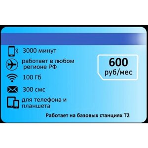 Тариф для звонков 3000 мин 100гб интернета 600р/мес