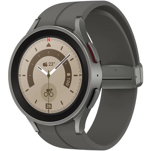 Samsung Умные часы Samsung Galaxy Watch 5 pro 45mm (Серый)