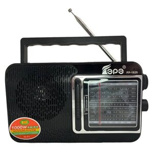 Радиоприемник AM-FM-SW, питание от сети 220В c MP3 плеером USB FP-1820черный Fepe