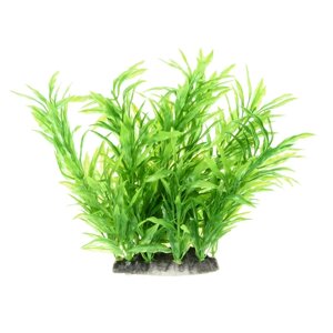 AquaFantasy Растение зеленое 10*8*15см
