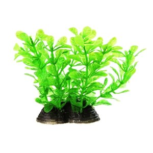 AquaFantasy Растение зеленоватое 6510см