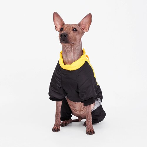 Petmax Комбинезон для собак, 3XL, желто-черный