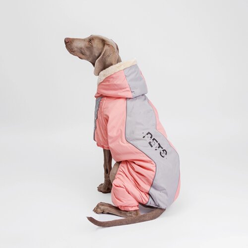 Petmax Комбинезон с капюшоном для собак, 3XL, розово-серый (девочка)
