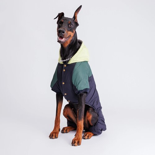 Petmax Комбинезон с капюшоном для собак, 4XL, сине-зеленый