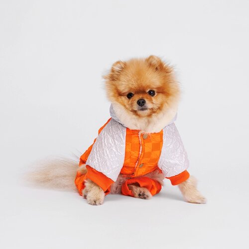 Petmax Комбинезон с капюшоном для собак, S, оранжевый