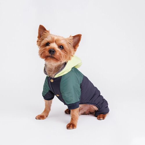 Petmax Комбинезон с капюшоном для собак, S, сине-зеленый