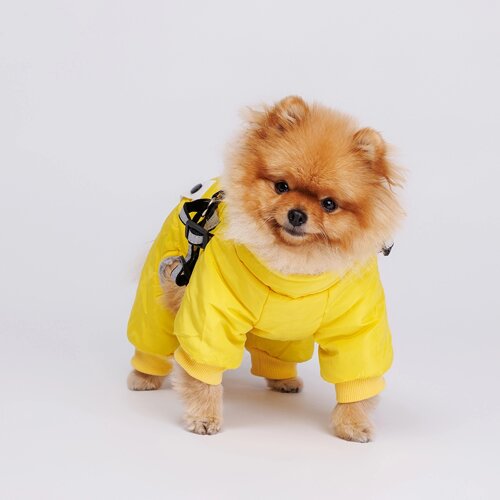 Petmax Комбинезон со шлейкой для собак, XS, желтый
