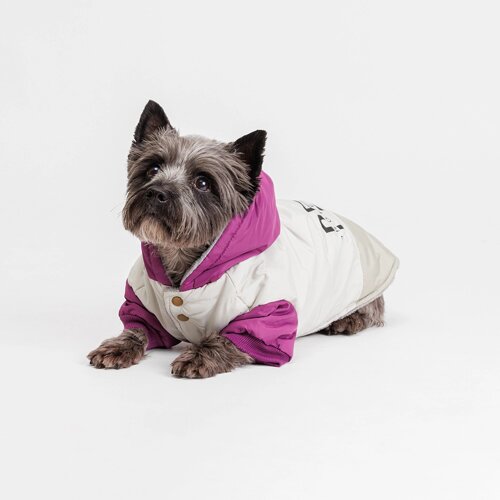 Petmax Куртка с капюшоном для собак, XL, серо-фиолетовая