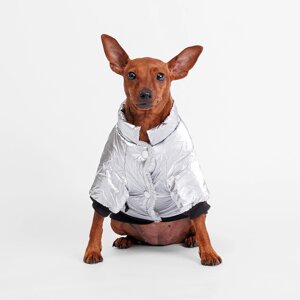 Rurri Куртка для собак, L, серебряная