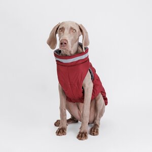 Rurri Куртка на молнии для собак, 4XL, бордовая