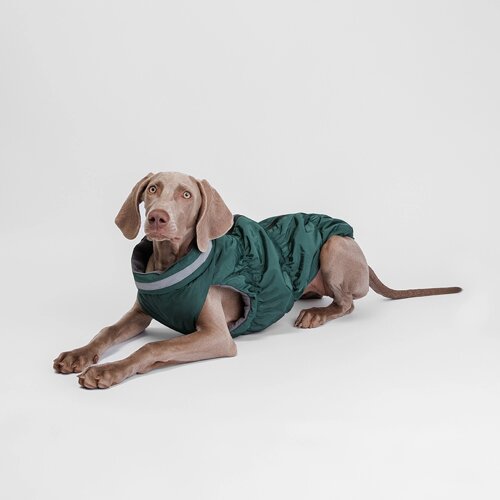 Rurri Куртка на молнии для собак, 4XL, зеленая