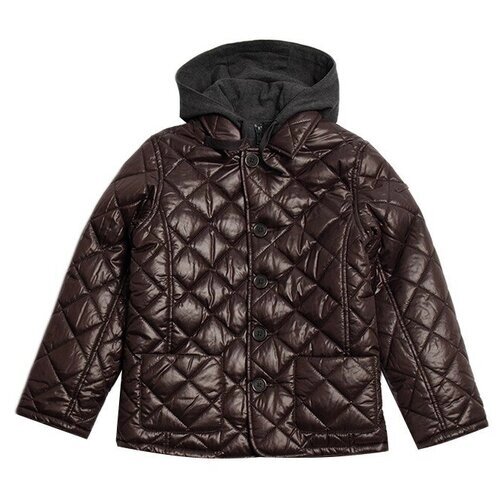 Куртка Aviva демисезонная, стеганая, размер 146, коричневый
