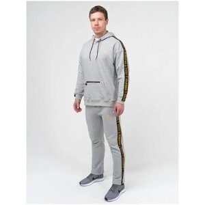 Костюм Великоросс, олимпийка, худи и брюки, силуэт прямой, размер 40, серый