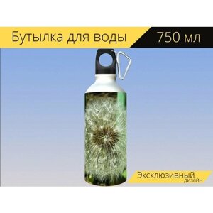 Бутылка фляга для воды "Одуванчик лекарственный, обыкновенные одуванчики, спелые плоды" 750 мл. с карабином и принтом