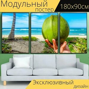 Модульный постер "Кокос, пляж, зуммер" 180 x 90 см. для интерьера