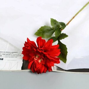Poetry in flowers Цветы искусственные "Георгина экстра галант" 60 d-15 см, бордовый