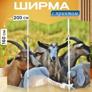 Ширма перегородка с принтом "Козел, стадо коз, домашние козы" на холсте - 200x160 см. для зонирования, раскладная