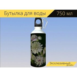 Бутылка фляга для воды "Astrantia основных, сад, цветы" 750 мл. с карабином и принтом