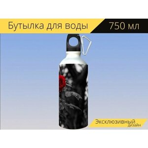 Бутылка фляга для воды "Чернобелый, роза, цветок" 750 мл. с карабином и принтом