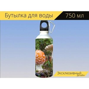 Бутылка фляга для воды "Гриб мухомор, грибок, лес" 750 мл. с карабином и принтом