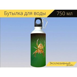 Бутылка фляга для воды "Паук, паутина, пауккрестоносец" 750 мл. с карабином и принтом