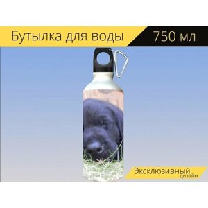 Бутылка фляга для воды "Щенок, чернить, лабрадор" 750 мл. с карабином и принтом