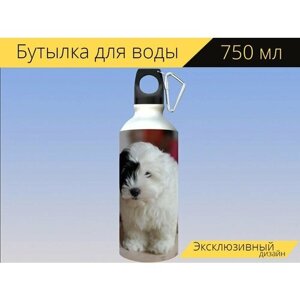 Бутылка фляга для воды "Собака, щенок, белая собака" 750 мл. с карабином и принтом