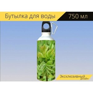 Бутылка фляга для воды "Завод, зеленое растение, зеленые листья" 750 мл. с карабином и принтом