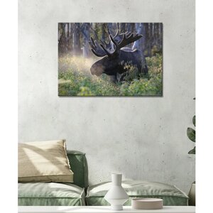 Картина - Лось, лось сохатый, лось в лесу (15) 40х60