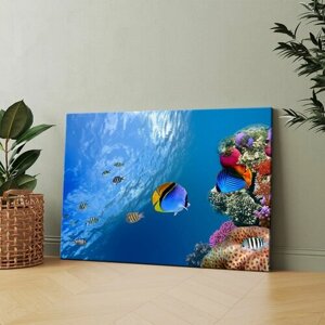 Картина на холсте (Морские рыбы) 20x30 см. Интерьерная, на стену.