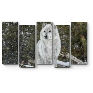 Модульная картина Серый волк 220x127