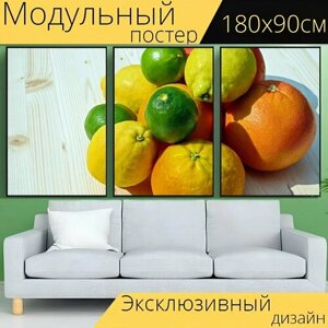 Модульный постер "Фрукты, еда, тропические фрукты" 180 x 90 см. для интерьера
