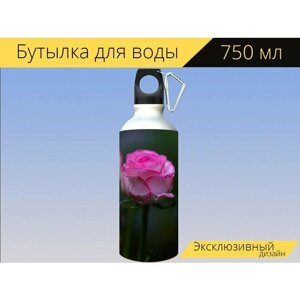 Бутылка фляга для воды "Роза, розовая роза, цветок" 750 мл. с карабином и принтом