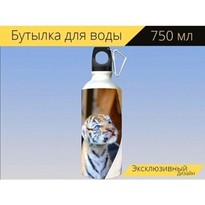 Бутылка фляга для воды "Тигр, детеныш, котенок" 750 мл. с карабином и принтом