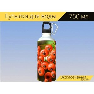 Бутылка фляга для воды "Ягода, ягоды, красный" 750 мл. с карабином и принтом