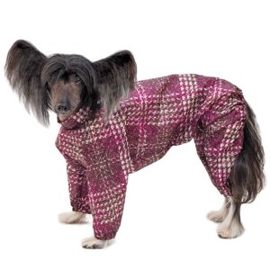 Гамма Комбинезон-дождевик для собак Китайская хохлатая (XL, Унисекс)