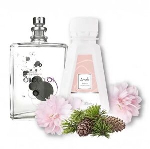 Наливная парфюмерия Ameli Parfum 405 Molecule 01 / Геза Шоен