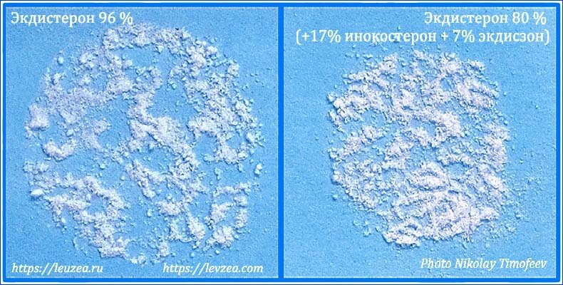 Серпуха-порошок 50 грамм = 2365 мг экдистерона от компании Энергетики с экдистероном для прилива сил и энергии - фото 1