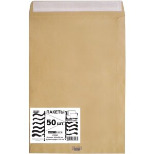 Пакет почтовый Multipack E4 из крафт-бумаги стрип 300x400 мм (100 г/кв. м, 50 штук в упаковке)