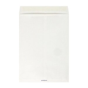 Пакет почтовый Grandpack С3 из крафт-бумаги стрип 320x440 мм (100 г/кв. м, 500 штук в упаковке)