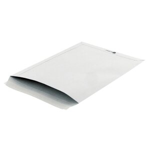 Пакет почтовый Bong Securitex С4 из офсетной бумаги стрип 229х324 мм (130 г/кв. м, 25 штук в упаковке)